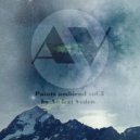 Andrei Veden - Paints ambiend vol.5 ()