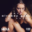 DWYR feat. Ashe - Already Gone