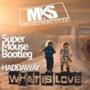 Haddaway - What is love