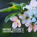 Vintage Culture, Constantinne & Felten - Eyes (KVSH Remix)