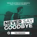 Soul Player & Gui Brazil & Vanessa Correia - Never Say Goodbye (feat. Vanessa Correia) (D-Upside Remix)