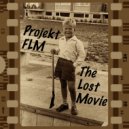 Projekt FLM - Scene 17f (Original Mix)