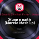 Алеся Боярских & DJ Alex Good & DJ Mihail Fisher - Живи в кайф (Morelo Mash Up)