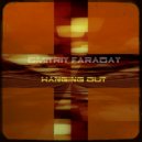 Dmitriy FarAday - Hanging Out