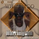 LeJuan Harrington - What U Do (Voodoo) (Soledrifter Instrumental)