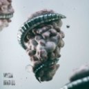 Hounds - Myria