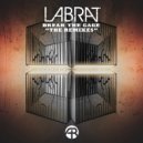 LabRat - Evolve (Bobby C Sound TV Remix)