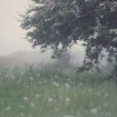 Ending Heartfelt - You Won't Go And Leave Me Here