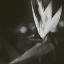Sanctuary - The Air We Breath