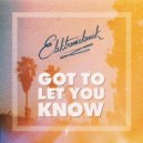 Elektromekanik - Got To Let You Know