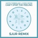 Justin Timberlake x Chris Crone - Can\'t Stop The Feeling (SJUR Remix)