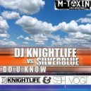 Silverblue - Do U Know (DJ Knightlife & Seth Vogt Remix) (DJ Knightlife & Seth Vogt Remix)