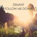 Dimant - Follow Me Down (Original Mix)