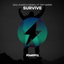 Soul Player & Didwell & Tom Harris - Survive (feat. Tom Harris) (Original Mix)