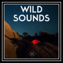 Lazy Move - Wave Of Love (Original Mix)