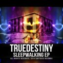 TRUEDestiny - Burn (Original Mix)
