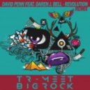 David Penn feat. Daren J. Bell - Revolution (Tr-meet & BigRock Remix)