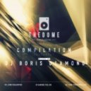 THE DOME COMPILATION Vol.1 - Mixed By Dj Boris D1AMOND