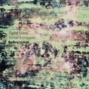 Digital Grass - Mr. Nobody ()