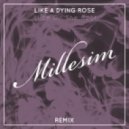 Alice On The Roof - Like A Dying Rose