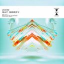 ZAIO - Say Sorry