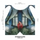 BONDI - You\'ve Been Fooled (Franz Alice Stern Remix)