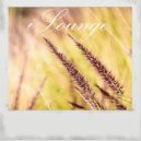 Alex Greenhouse - Don't Believe in Love