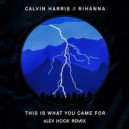 Calvin Harris & Rihanna - This Is What You Came For (Alex Hook Remix)