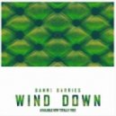 Danni Darries - Wind Down