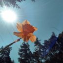 Pete Josef - Colour (Urmet K Sunset Mix)