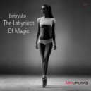 Bobryuko - The Labyrinth of Magic (Original Mix)