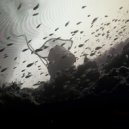 Perilous - American Angels