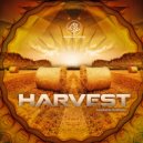 Morphogenetic Fields - Slow Performance (Bonus Track)