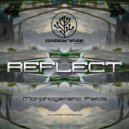 Morphogenetic Fields - We All Fall (Original Mix)