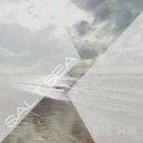 Salt Sea - Closer and Closer