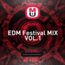 Avare - EDM Festival MIX VOL.1 ()