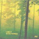 LowXY - Dew