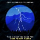Calvin Harris Ft. Rihanna - This Is What You Came For (Tom Ferry Remix)