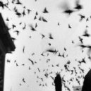 Desiigner - Timmy Turner