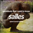 SALLES - Somebody That i Used to Know