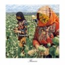 BLVCK CEILING - Shallow