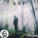 XXV - Trials And Tribulations