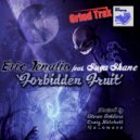 Eric Tenalio & Sugur Shane - Forbidden Fruit (Craig Mitchell\'s \'Bitch I Worked Your Nerves\' Instrumental Mix)