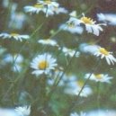 Hasse - Chamomile (Original mix)
