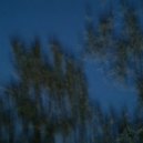 Wet Cat - In Search Of Himself