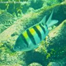 DJ frEEl - Beautiful House Music ()