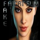 Fatcat Slim - Fake (original mix)