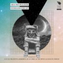 Aka SkyWalker - Acid Junkies