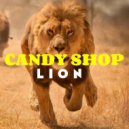 Candy Shop - Wobble Land (Original Mix)