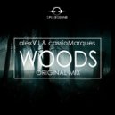 AlexVJ & Cassio Marques - Woods (Original Mix)